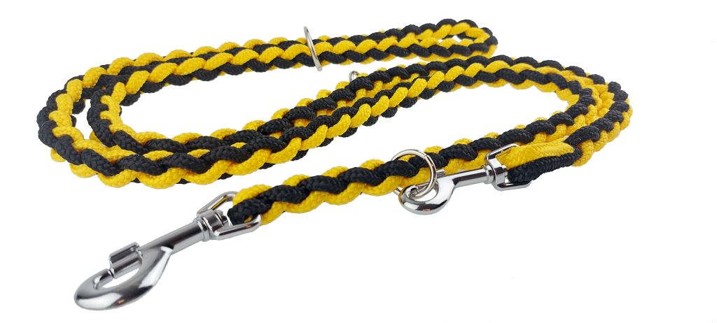 plaited dog lead