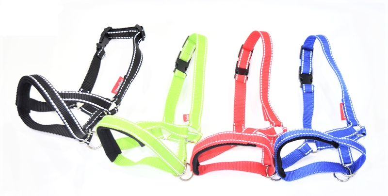 Head Halters