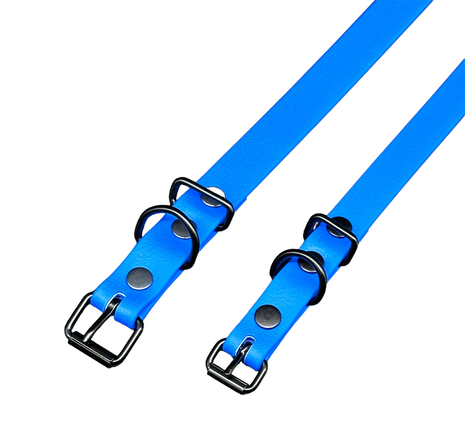 Biothane Dog Leashes