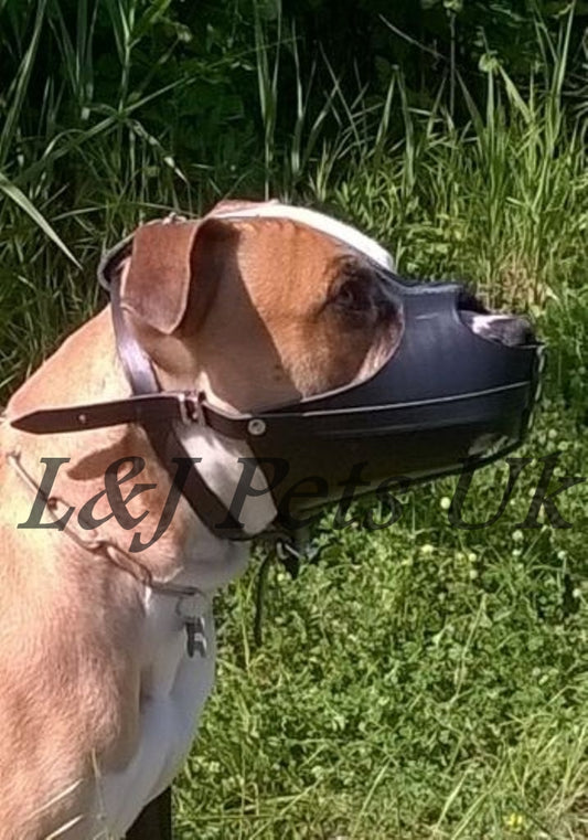 leather dog muzzle