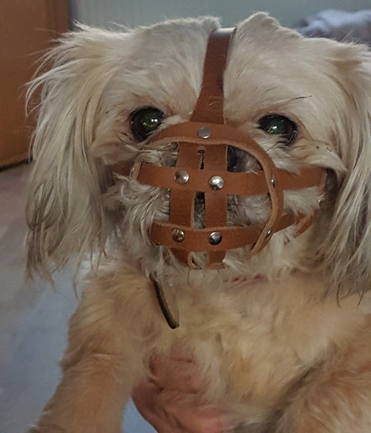 Brown Leather Dog Muzzle