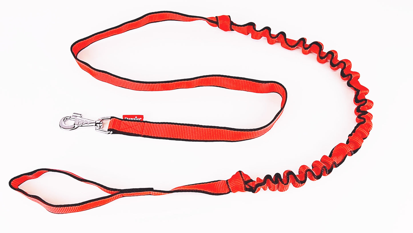 plaited nylon dog lead