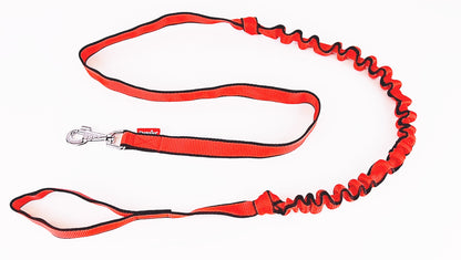 plaited nylon dog lead
