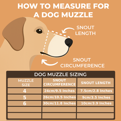 Lightweight Leather Dog Muzzle for Spitz, Poodle, Husky and Other similar snouts