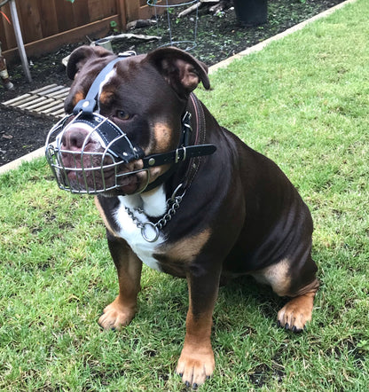 Strong Metal Wire Basket Dog Muzzle for Boxer, Other dogs with short snout