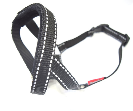 reflective head collar