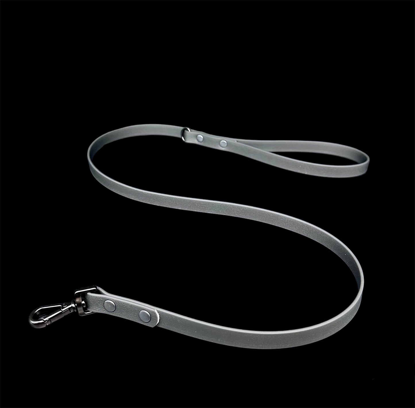 biothane dog lead