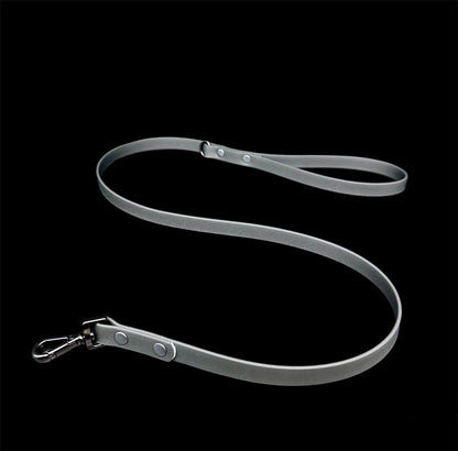 biothane dog lead