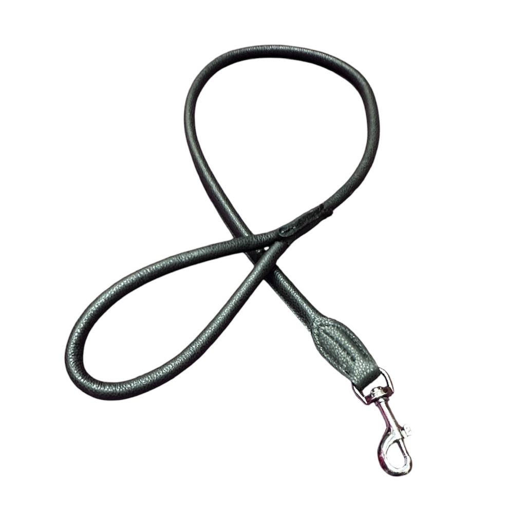 Premium Leather Dog Lead | Non-Adjustable with Strong Metal Rings & Craftsmanship