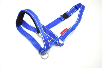 reflective head collar