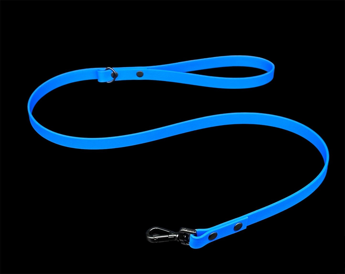 biothane dog lead