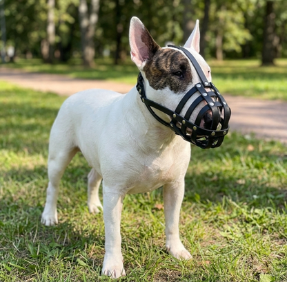 Lightweight Leather Dog Muzzle for English Bull Terrier and other similar snout