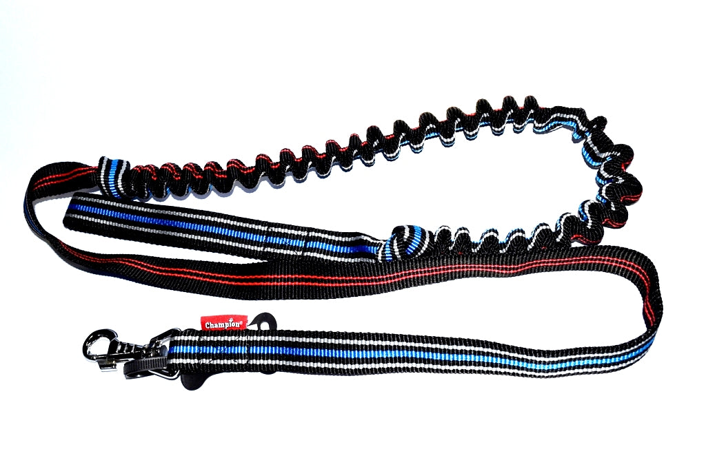 bungee dog lead