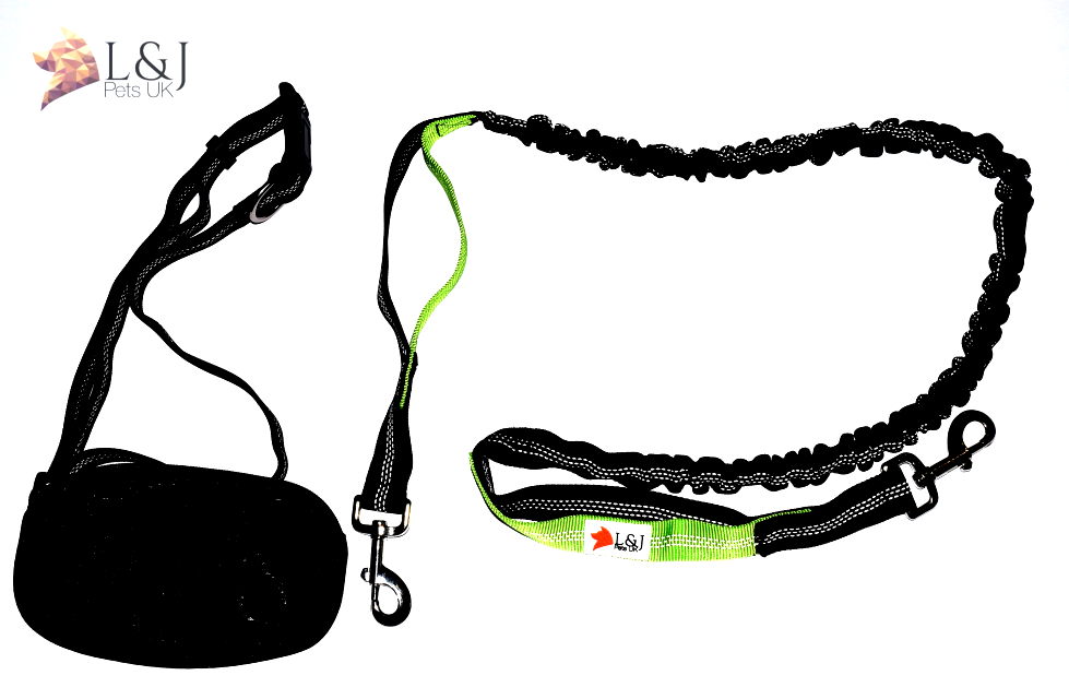 bungee dog lead