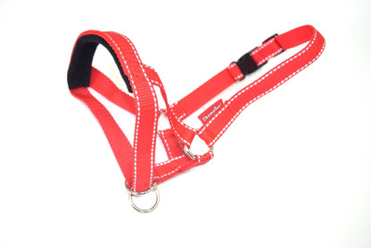 reflective head collar