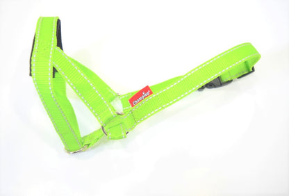 reflective head collar