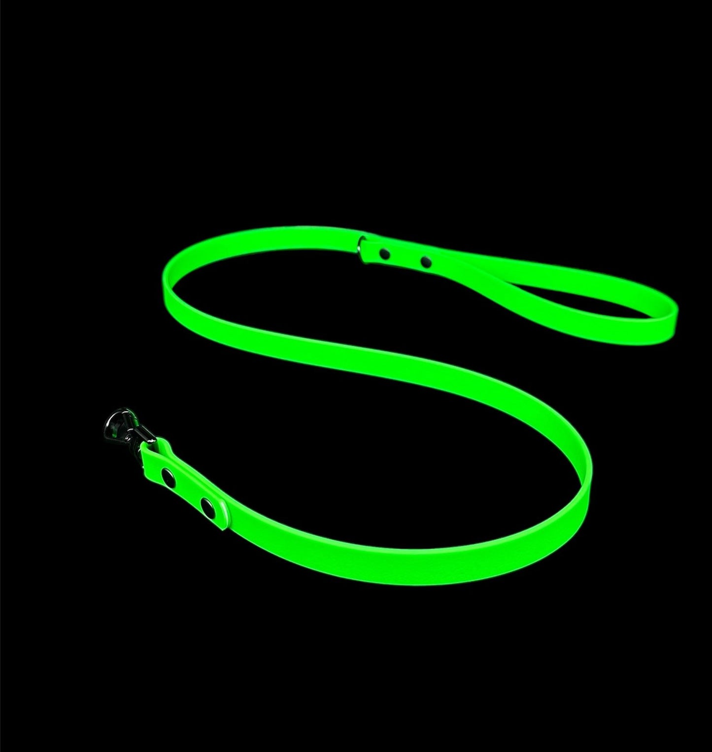 biothane dog lead