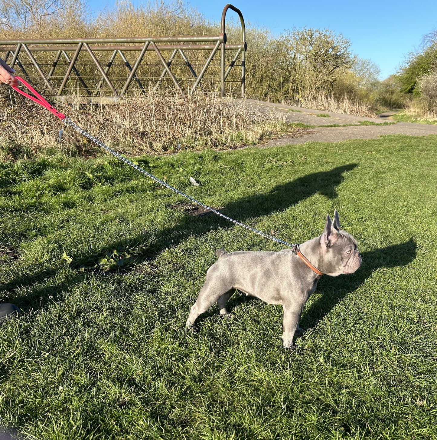 Biothane & Metal Dog Lead | Metal Dog Leash | 110cm/44In | Strong Dog Leash