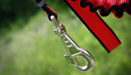 Strong Anti-Shock Absorbing Dog Lead | Double Clip for Walking, Jogging, Running