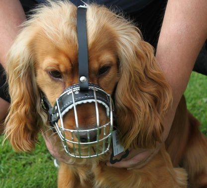 Black Leather Metal Muzzle