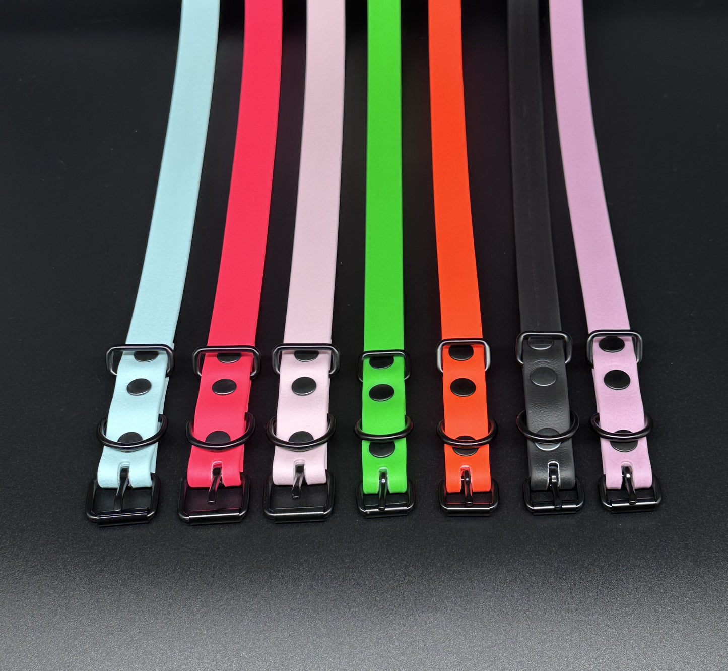 biothane dog lead