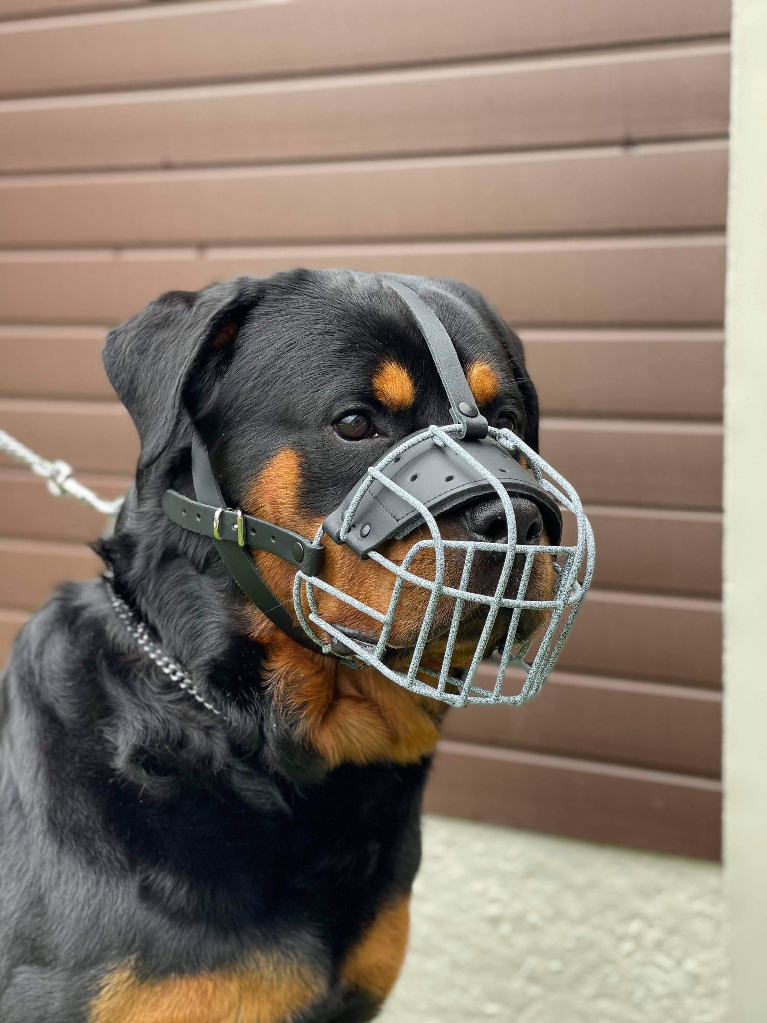 metal dog muzzle