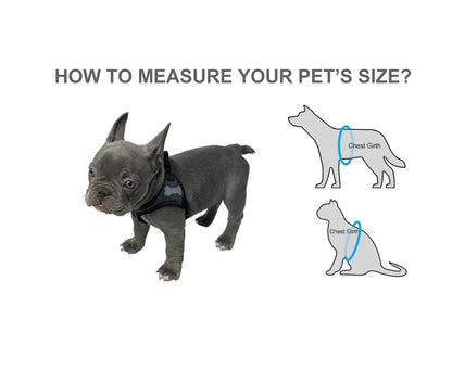 How to measure for Dog Harness