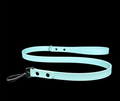 biothane dog lead