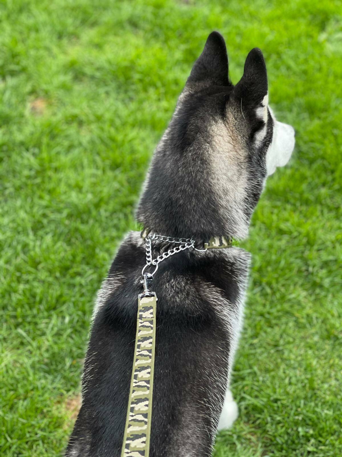 Camo Leash | Dog Training Lead | 3FT - 100FT (1m - 30m) | Strong & Druable Tracking Leash Recall Line