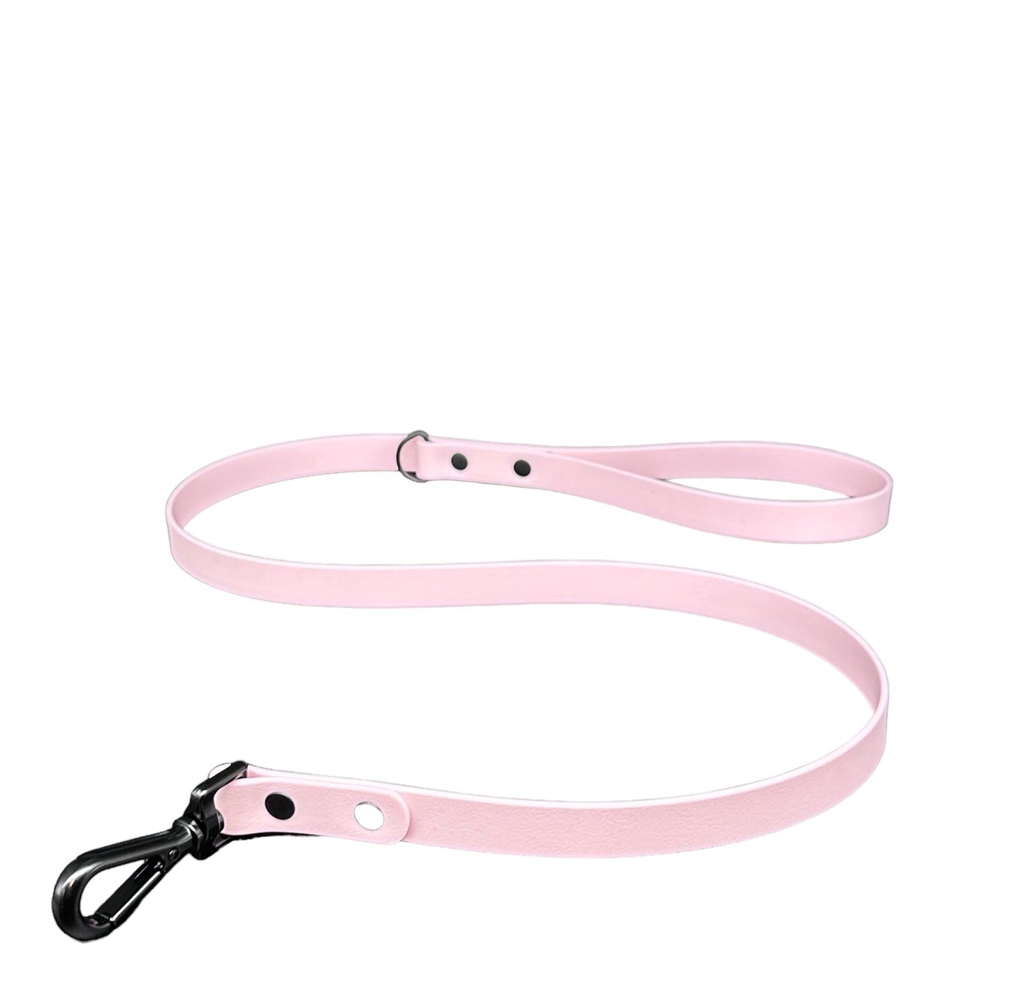 biothane dog lead