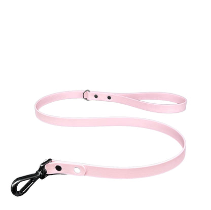 biothane dog lead