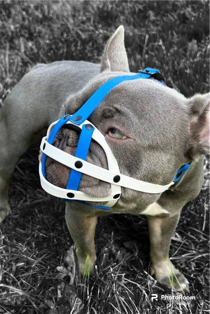 Biothane Dog Muzzle | Training & Behaviour | Waterproof | Frenchie Muzzle