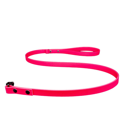 biothane dog lead