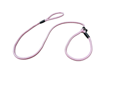 Strong Nylon Dog Leash | Puppy & Dog Training Leash | Slip on Rope Leash