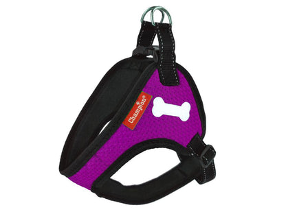 Purple Dog Harness