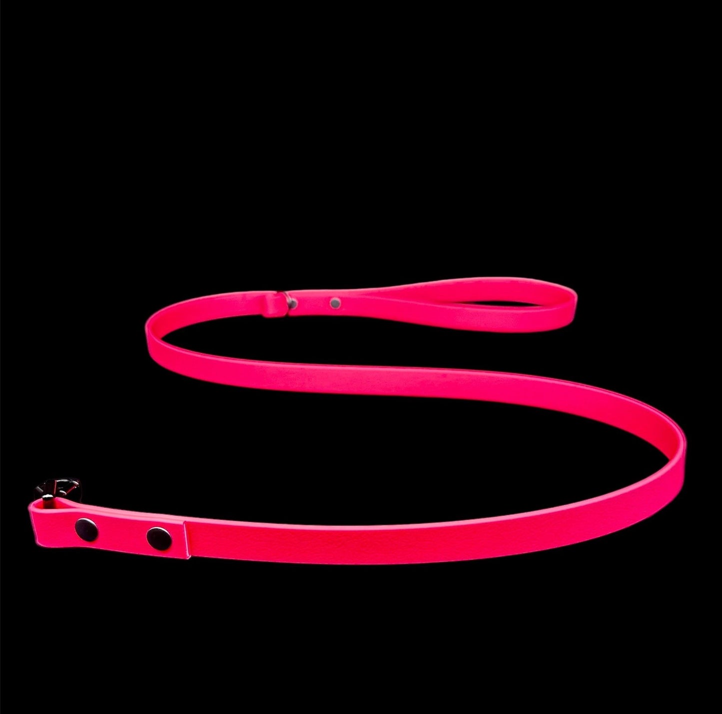 biothane dog lead