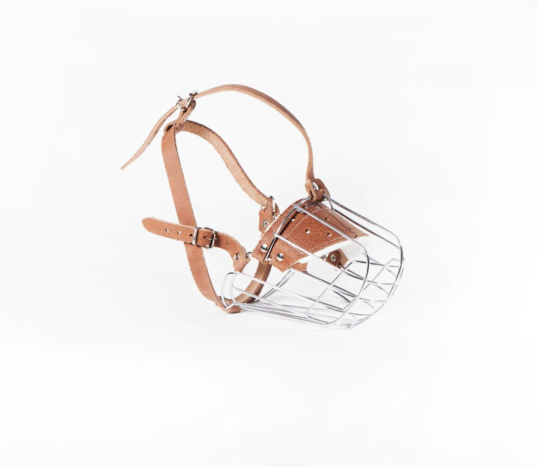 metal dog muzzle