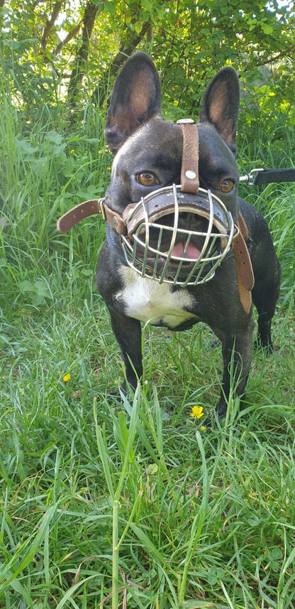 Brown Leather Metal Muzzle