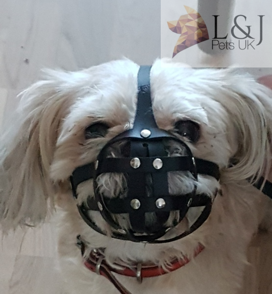 Black Leather Dog Muzzle