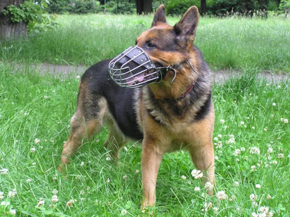 Black Leather Metal Muzzle