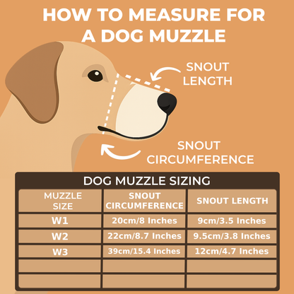 Lightweight Leather Dog Muzzle for German Shepherd, Labrador, Setter and Similar Snouts | Real Leather Dog Muzzle