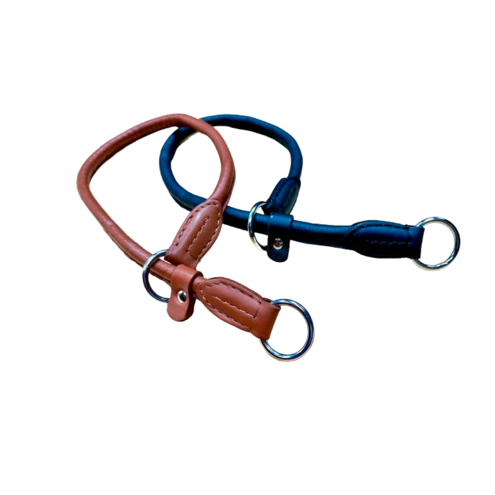 leather dog collar