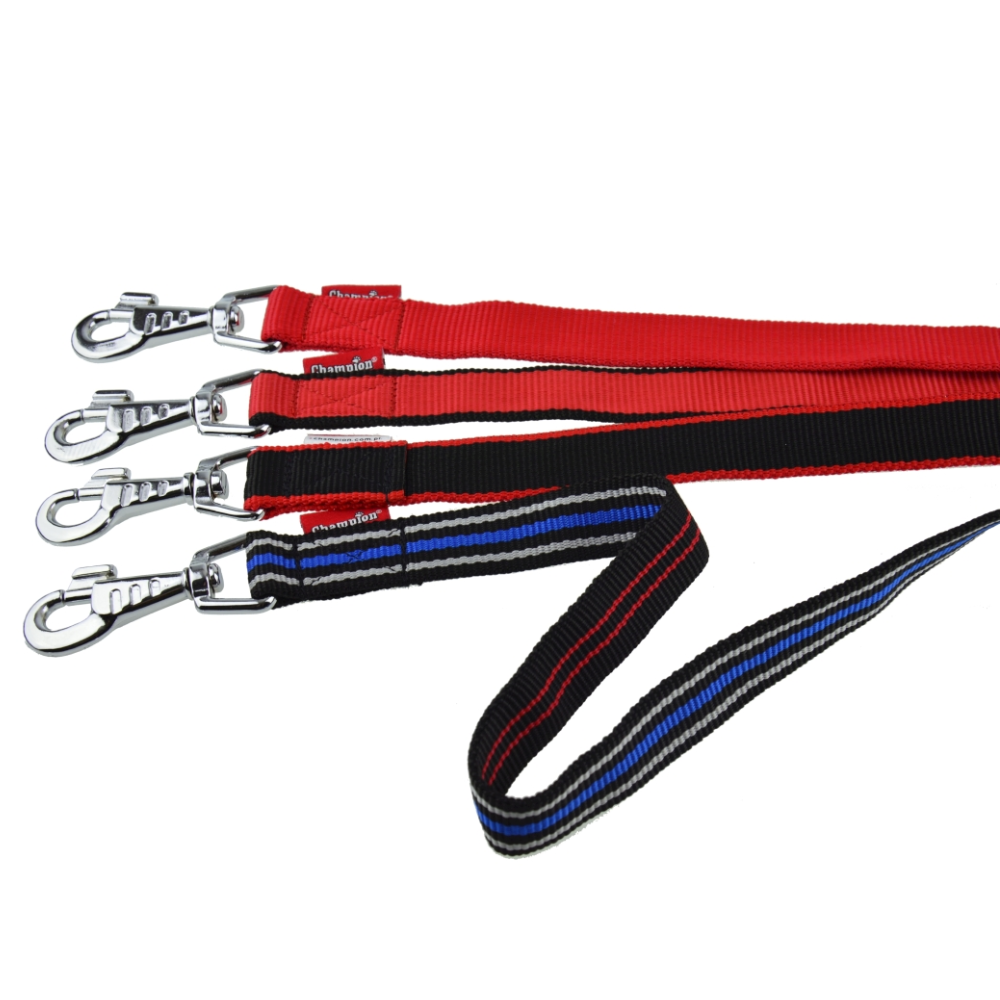 Dog Lead