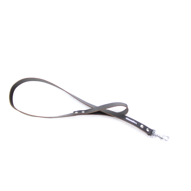 dog lead