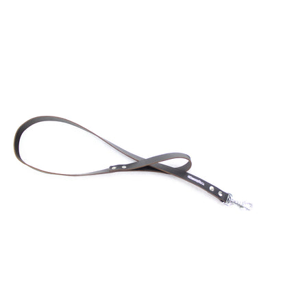 dog lead