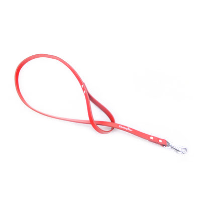 dog lead