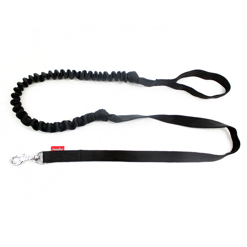 bungee dog lead