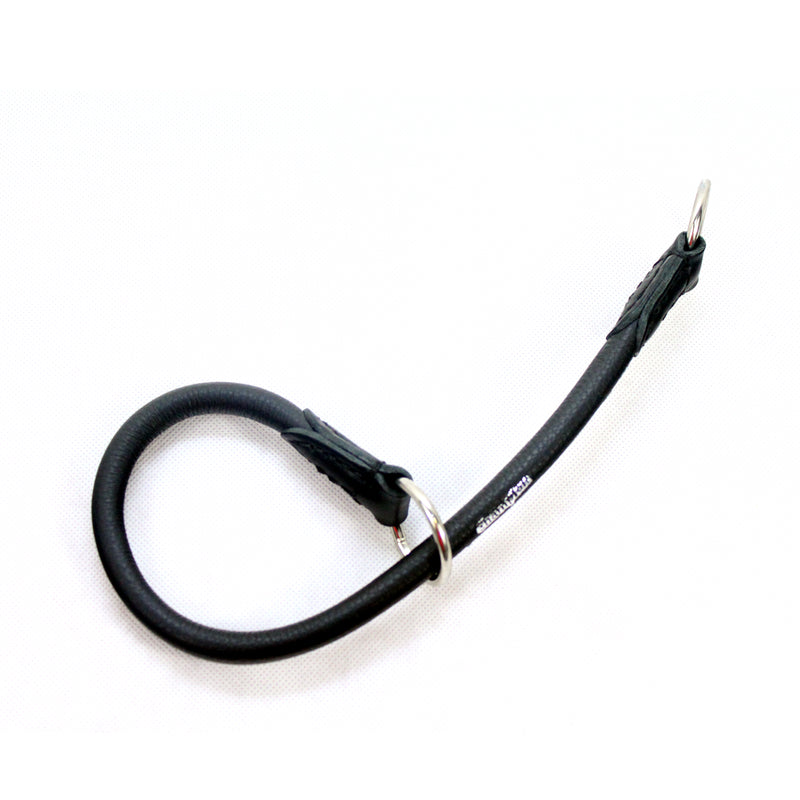 leather dog collar