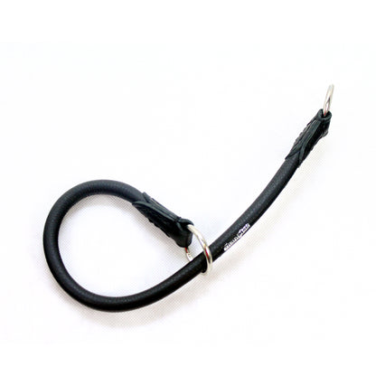 leather dog collar