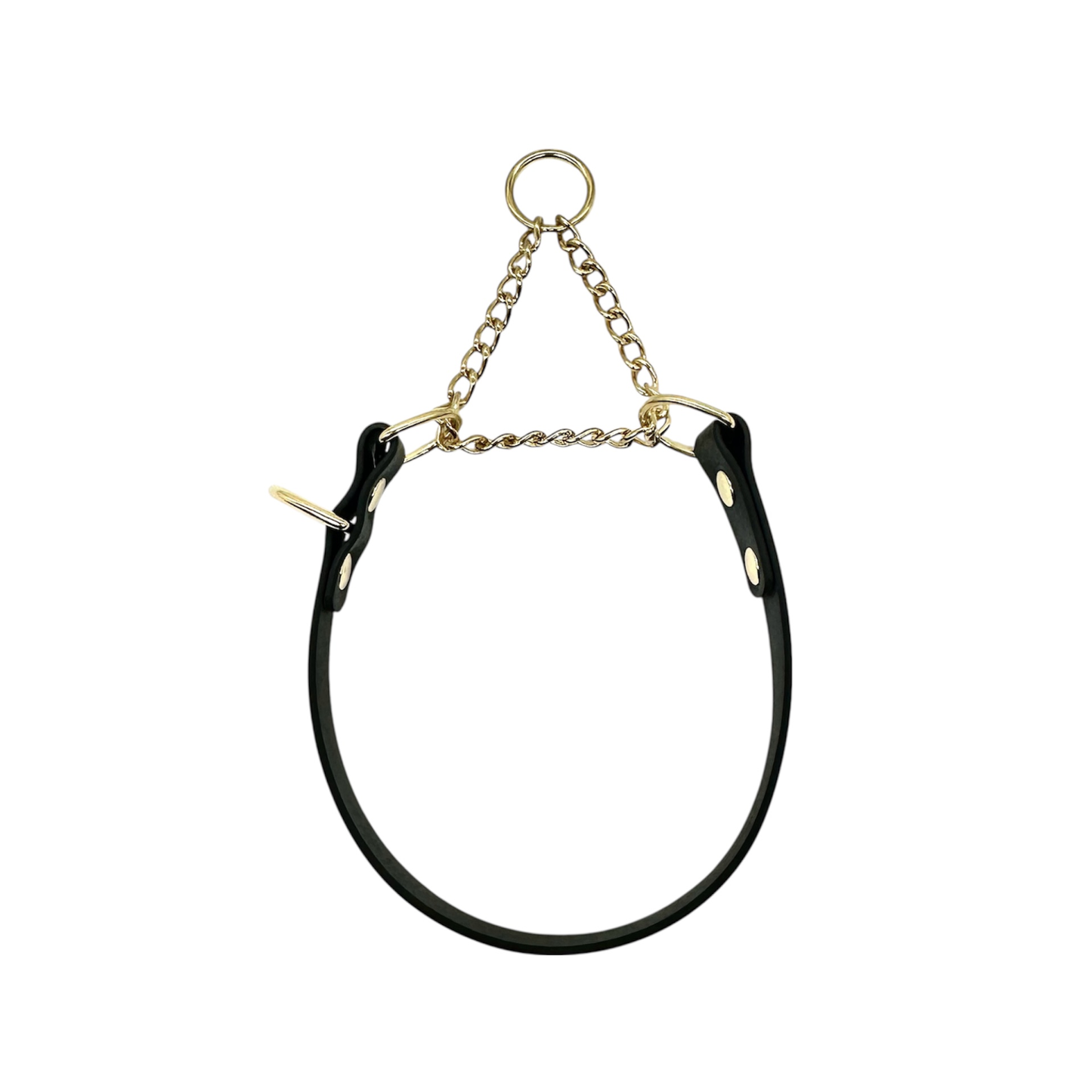 L&J Pets UK Martingale Dog Collar & Lead Set | Waterproof & Odour Proof | BioThane Webbing | Solid Brass Chain | Made in UK